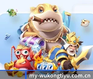 悟空体育官方五大内容板块,覆盖赛事直播与实时比分（WukongSports）